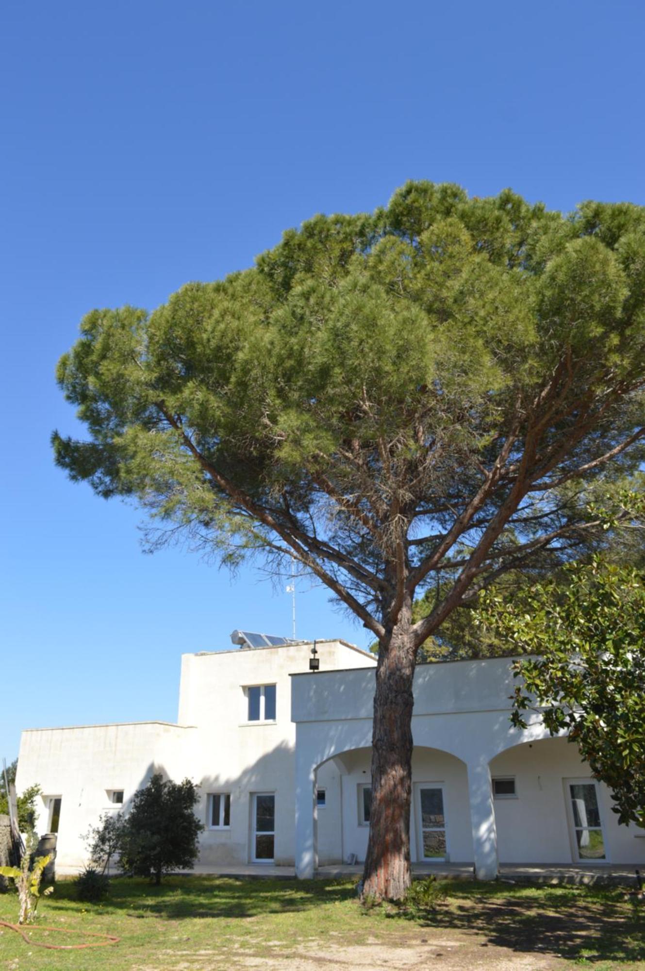 Agriturismo Tenute Masseria Notari Borgagne Exterior photo