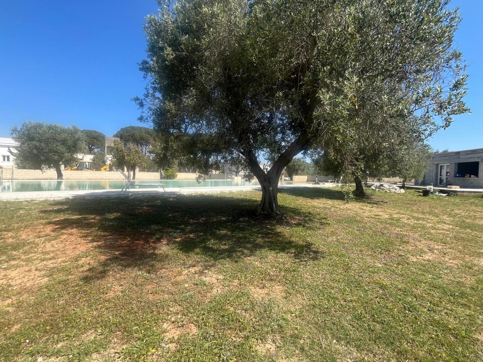 Agriturismo Tenute Masseria Notari Borgagne Exterior photo