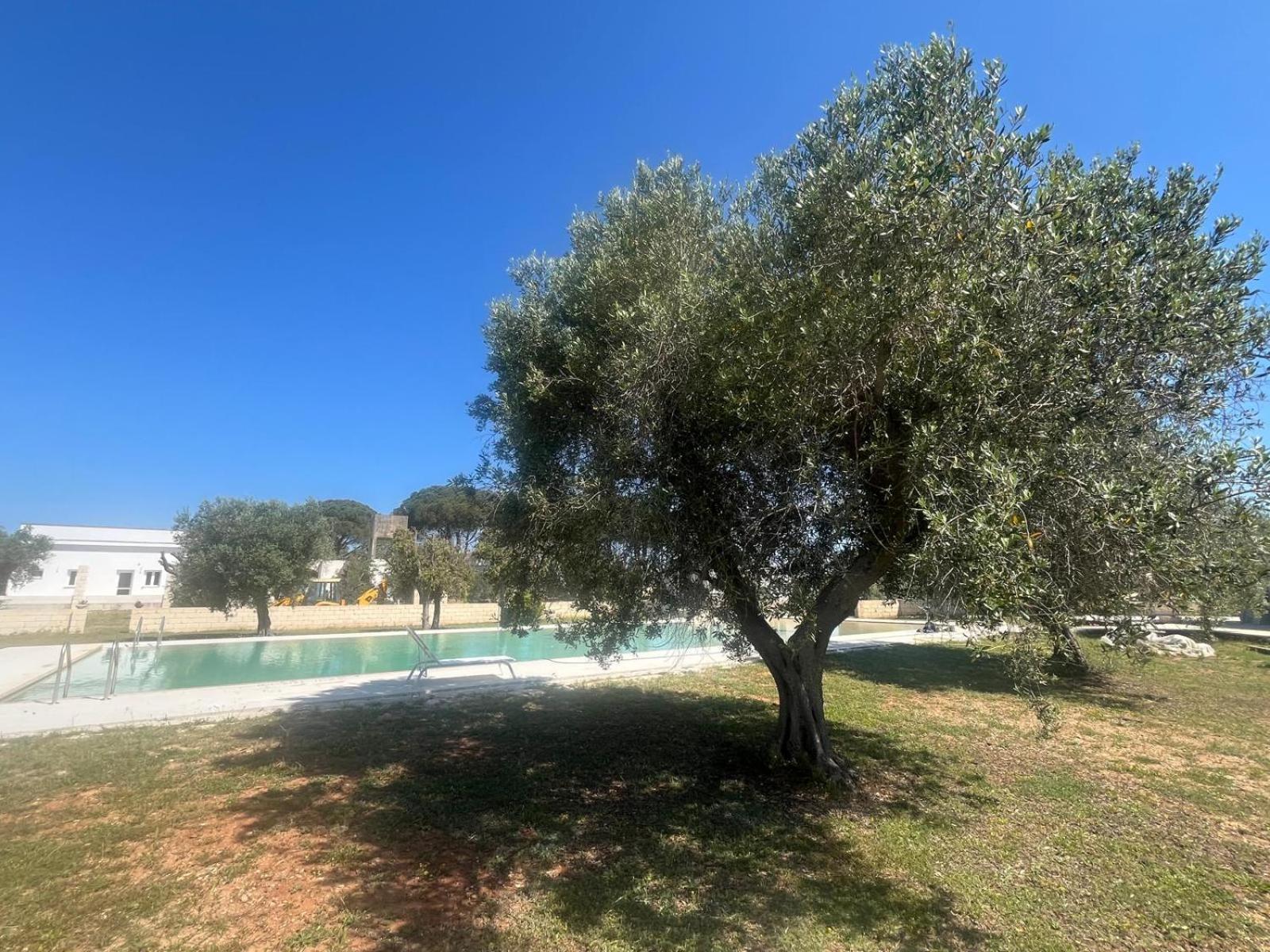 Agriturismo Tenute Masseria Notari Borgagne Exterior photo