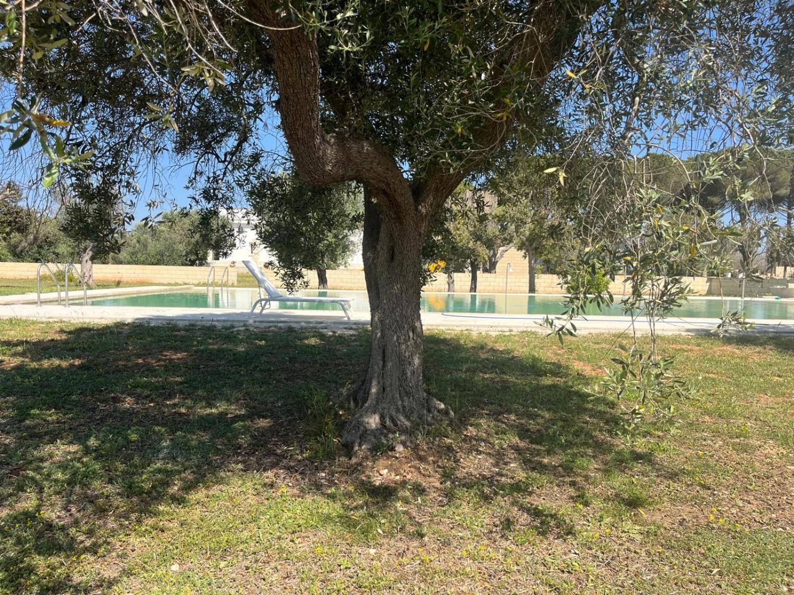 Agriturismo Tenute Masseria Notari Borgagne Exterior photo